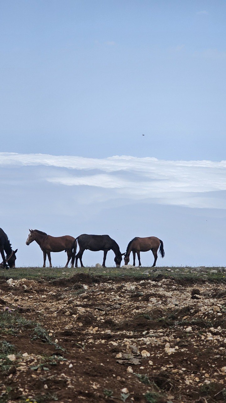 Green valley and mountains of Kelardasht